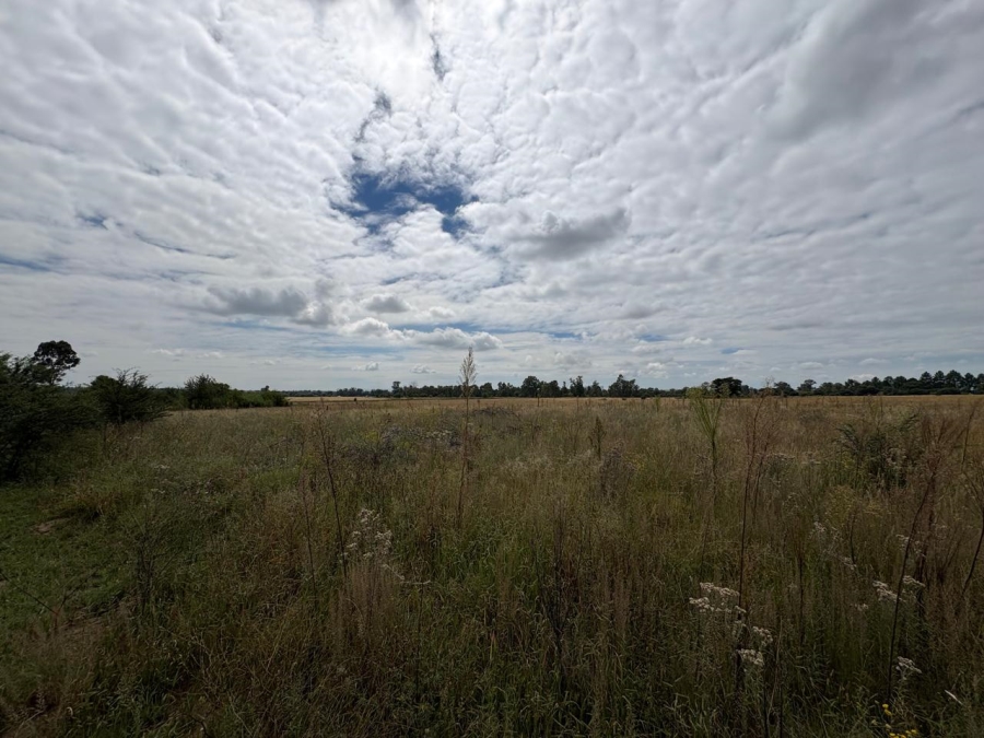 0 Bedroom Property for Sale in Vaalpark Free State